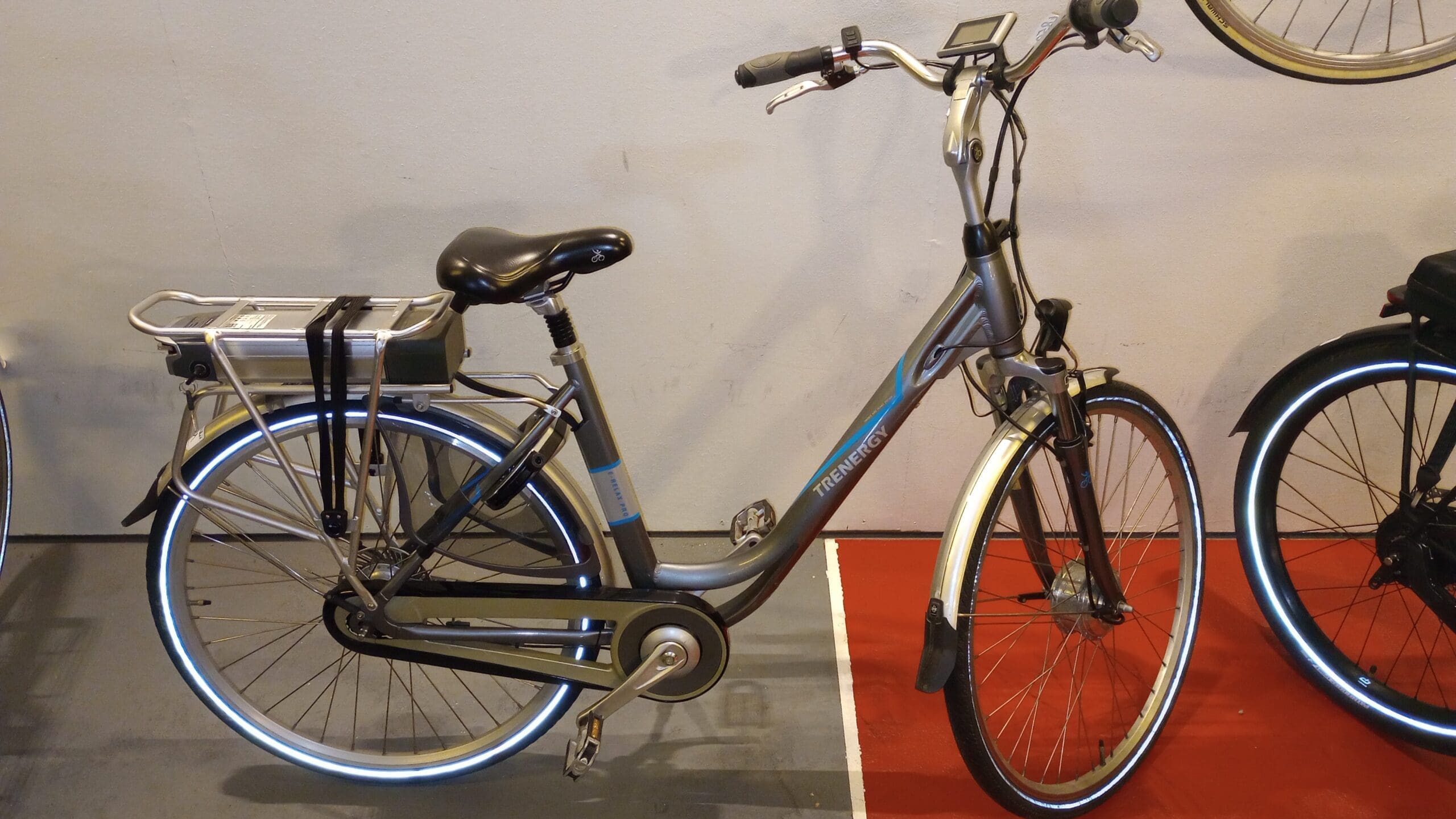 Trenergy E-Relax Pro Elektrische fiets met nieuwe accu